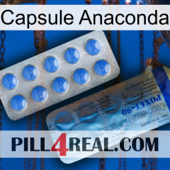 Anaconda Capsule 40